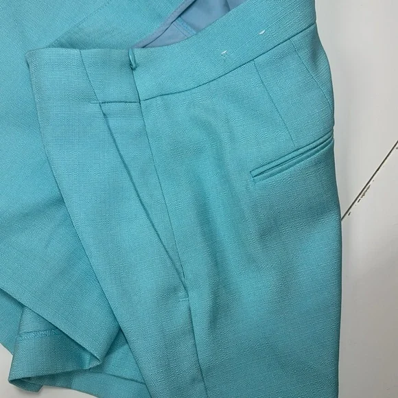 Ann Taylor The Side Zip Shorts Aqua Size 10 - Picture 5 of 9
